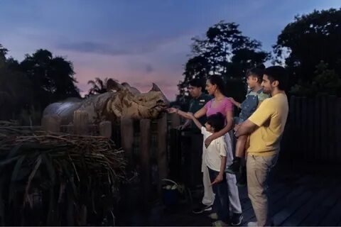 Singapore Wildlife and Night Safari
